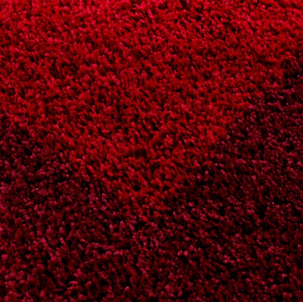 Life Shaggy Border Red Rug